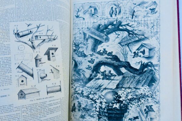 Chasse illustrée - Journal des plaisirs de la ferme et du château 1868-1869 – Image 13