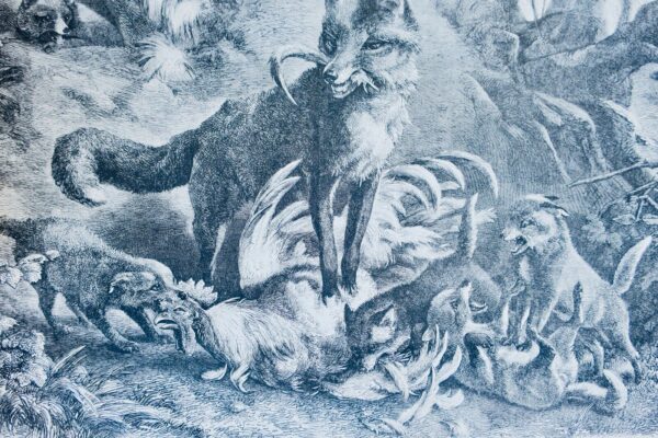Chasse illustrée - Journal des plaisirs de la ferme et du château 1868-1869 – Image 7