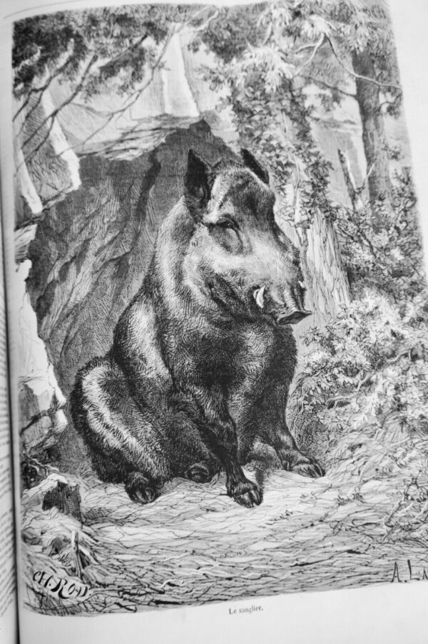 Chasse illustrée - Journal des plaisirs de la ferme et du château 1868-1869