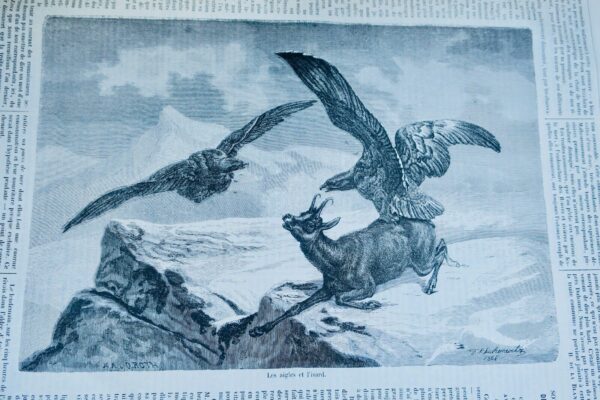 Chasse illustrée - Journal des plaisirs de la ferme et du château 1868-1869 – Image 10