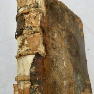 DANTY (N) Traité de la preuve par témoins en matière civile 1738