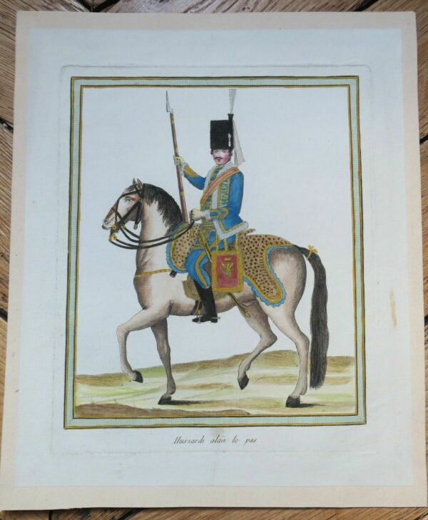 Hussard alan le pas – Image 3