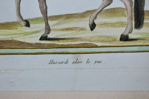 Hussard alan le pas – Image 4