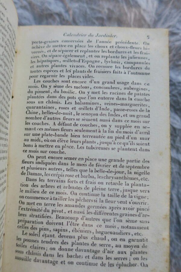 JARDIN bon jardinier. Almanach agricole pour l'année 1828 – Image 7