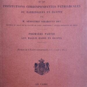 Les Maglis hasby et les institutions correspondantes patriarcales ou rabbiniq...