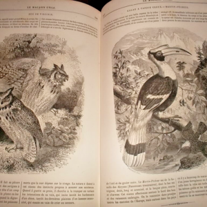 MAGAZIN UTILE religion morale sciences et arts voyages histoire varietés