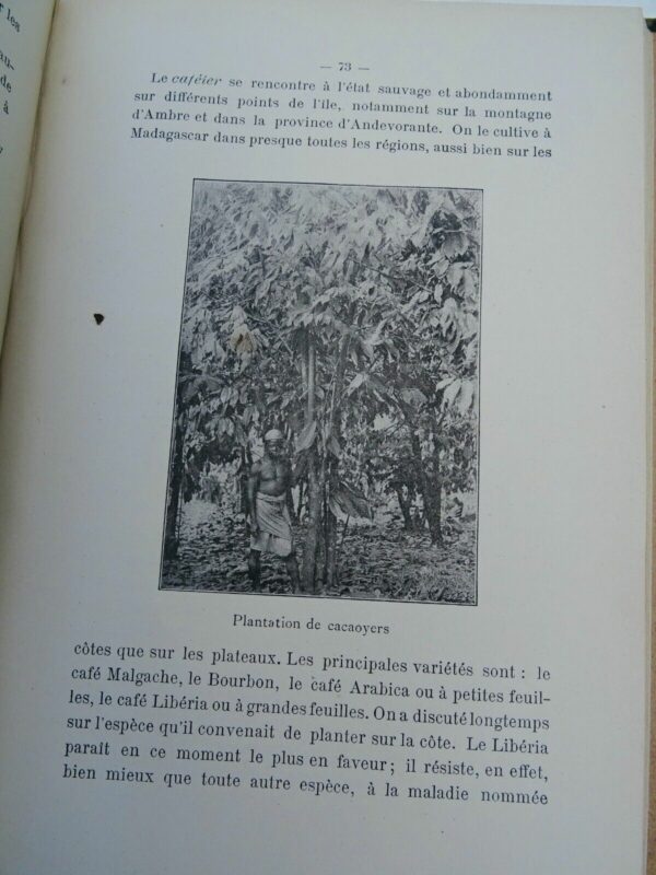 Madagascar exposition universelle de 1900 colonies et pays de protectorats – Image 6