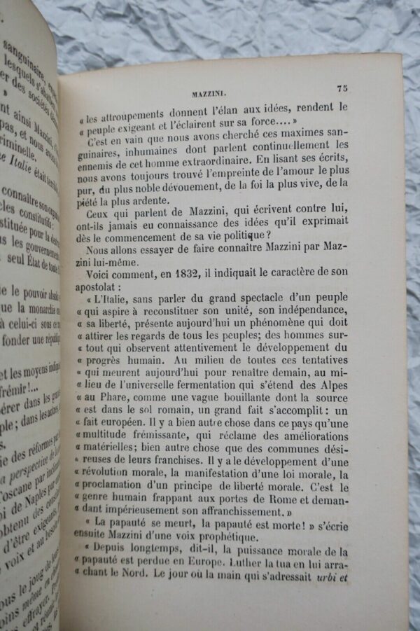 Mazzini - Histoire des conspirations mazziniennes 1869 – Image 5