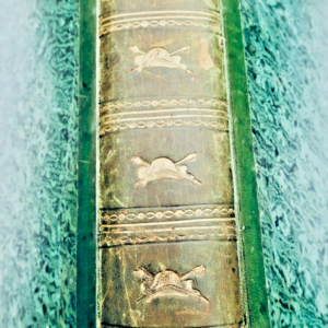 Napoléon L. de l'ARDÈCHE. Histoire de l'empereur 1839