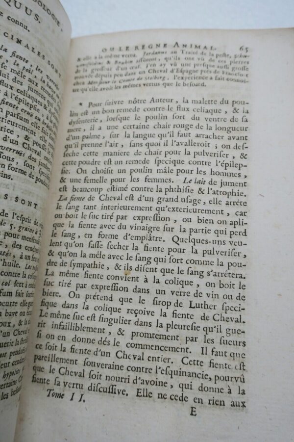 Pharmacopée raisonnée de Schroder 1698 – Image 14