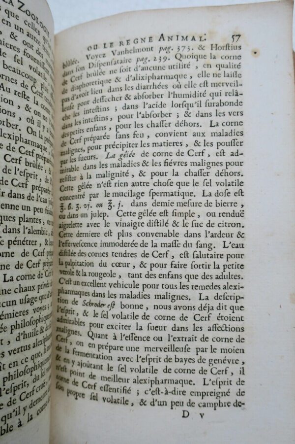 Pharmacopée raisonnée de Schroder 1698 – Image 8