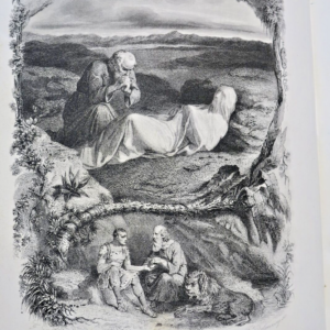 Reliure LES MARTYRS suivis de remarques et.. PENAUD STAAL