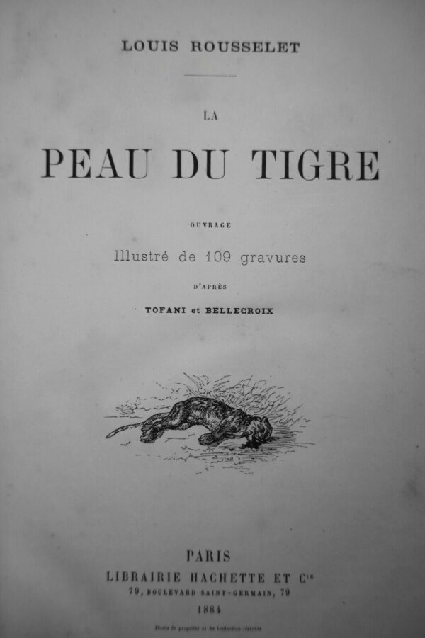 TIGRE Rousselet La Peau du Tigre Tofani – Image 10