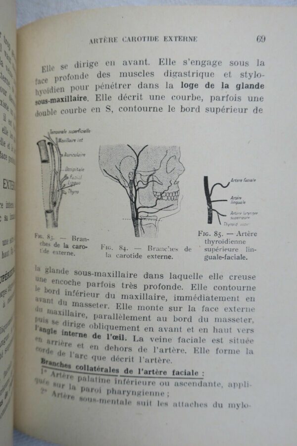 anatomie descriptive et régionale Dupuy de Frenelle – Image 8
