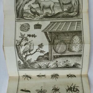DUBROCA Entretiens d'un père avec ses enfans, sur l'Histoire naturelle 1797