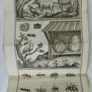 DUBROCA Entretiens d'un père avec ses enfans, sur l'Histoire naturelle 1797