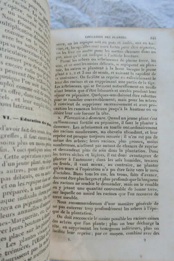 JARDIN bon jardinier. Almanach agricole pour l'année 1852 – Image 6