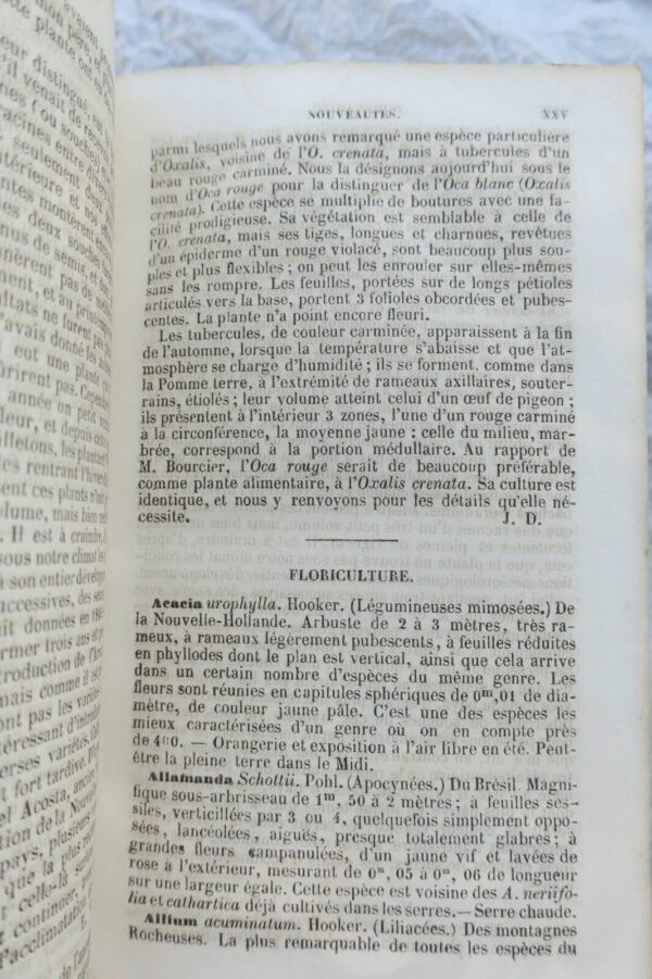 JARDIN bon jardinier. Almanach agricole pour l'année 1852 – Image 7