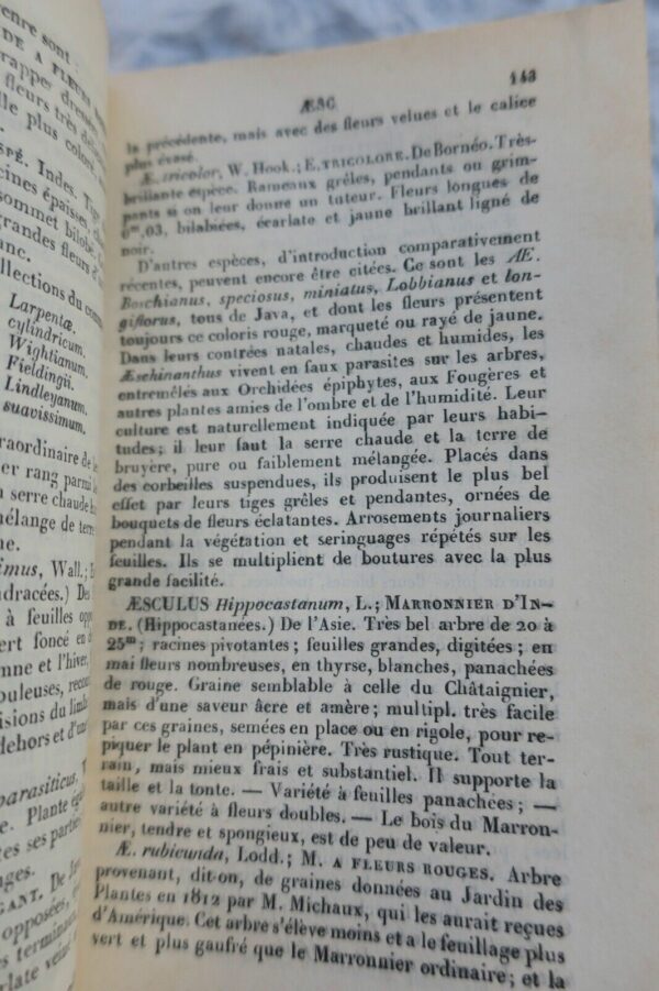 JARDIN bon jardinier. Almanach pour l'année 1877 – Image 4