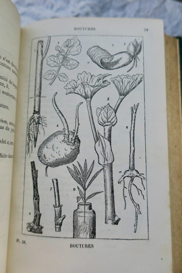JARDIN bon jardinier. Almanach pour l'année 1877 – Image 10