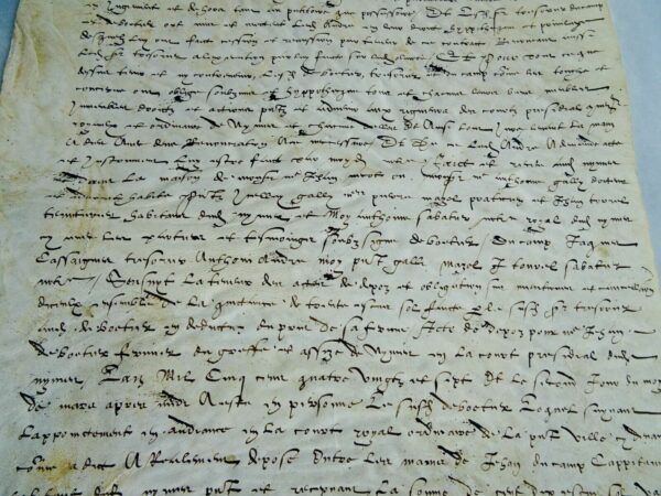 Nîmes protestant terre 1588 parchemin oliveraie – Image 13