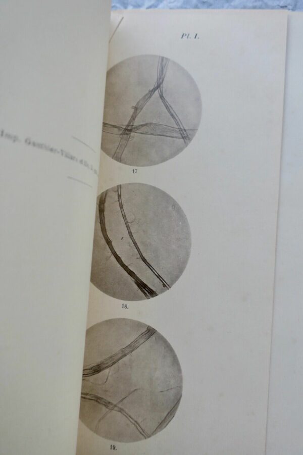 Papier analyse et essais des papiers 1894 – Image 8