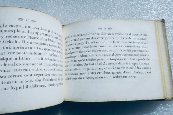 Petit Lapeyrouse Enfant – Image 4
