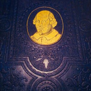Shakespeare - The Plays of Shakespeare illustred Selous