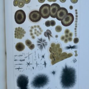 chimie Traité de chimie anatomique et physiologique normale 1853