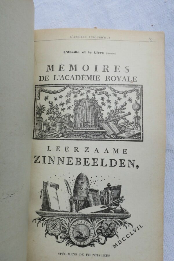 Abeille par l'image – Image 3