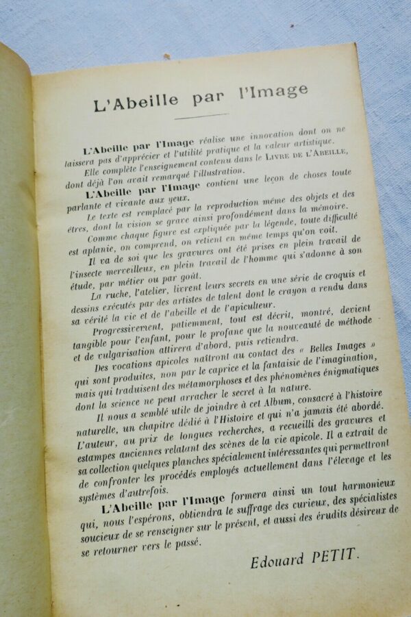 Abeille par l'image – Image 5