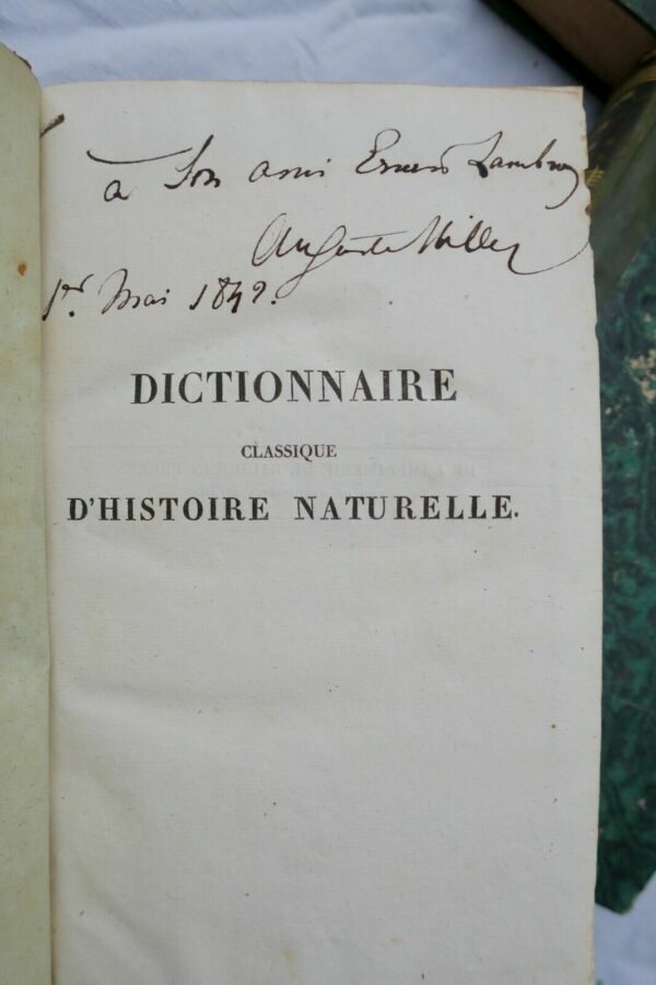 BORY DE SAINT-VINCENT Dictionnaire classique d'histoire naturel – Image 12