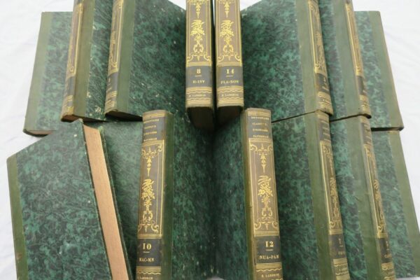 BORY DE SAINT-VINCENT Dictionnaire classique d'histoire naturel – Image 3