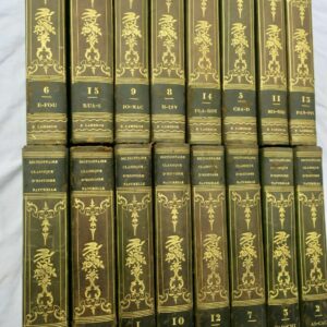 BORY DE SAINT-VINCENT Dictionnaire classique d'histoire naturel