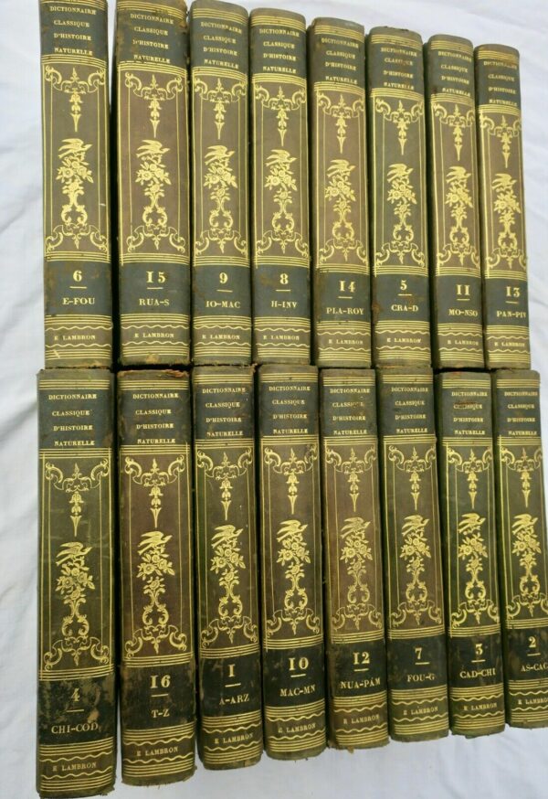 BORY DE SAINT-VINCENT Dictionnaire classique d'histoire naturel