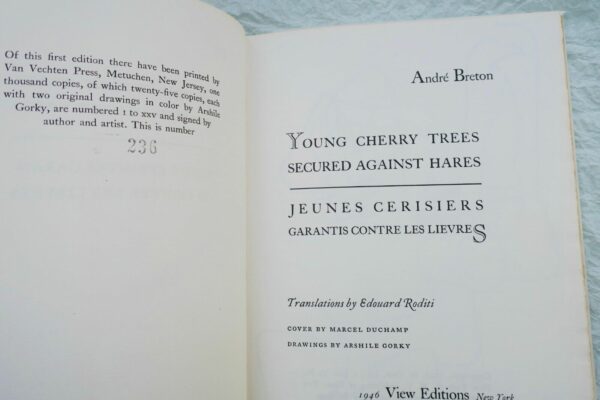 BRETON André Young Cherry Trees Secured Against Hares  DUCHAMP – Image 9