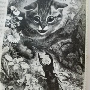 Chasse illustrée - Journal des chasseurs et de la vie à la campagne 1878