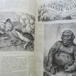 Chasse illustrée - Journal des chasseurs et de la vie à la campagne 1879