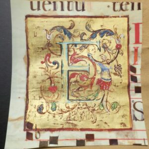 Enluminure 140 x 145 mm.