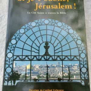 Jérusalem  Si je t'oublie Jérusalem ! La cité sainte à travers la bible
