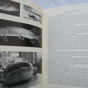 Pêche grand Livre de La Pêche et Des Poissons : Eau Douce 1952