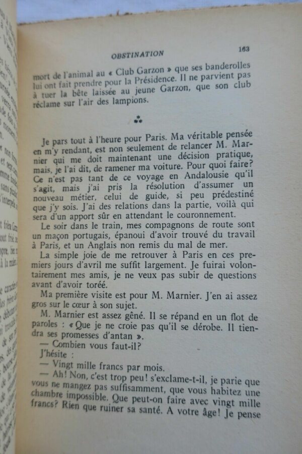 Taureau Passion Tauromachique – Image 3