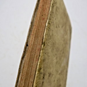 Theologia Supplex Coram Clemente XII Pont. Max: Clementinae Constitutionis 1736