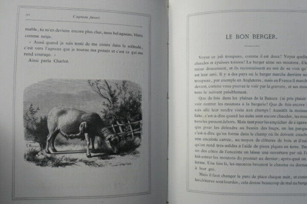 cartonnage les amis de nos enfants – Image 5
