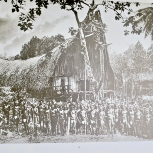 Arts indigènes en Nouvelle-Guinée