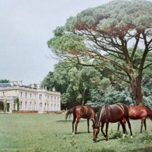 CHATEAUX EN GIRONDE 1956