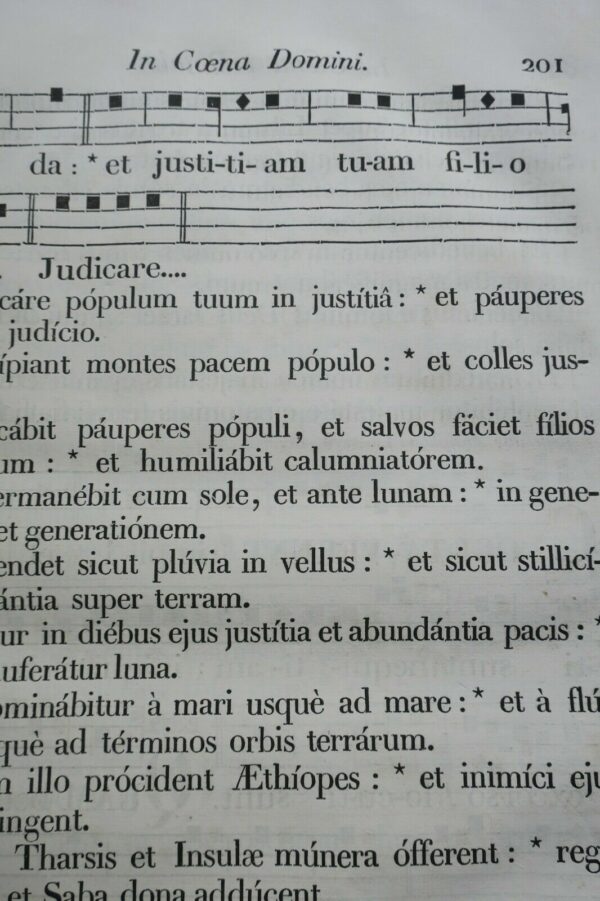 Epitome antiphonarii seu vesperale Romanum 1845 – Image 11