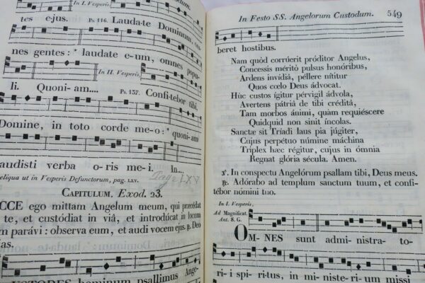Epitome antiphonarii seu vesperale Romanum 1845 – Image 10