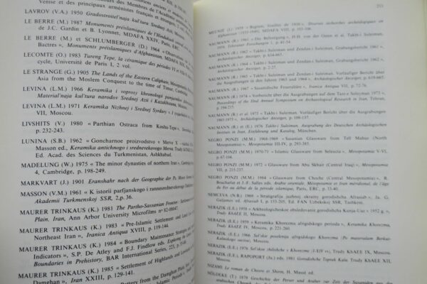 Fouilles de Tureng Tepe. Vol. 1. Les Périodes sassanides et islamiques – Image 6