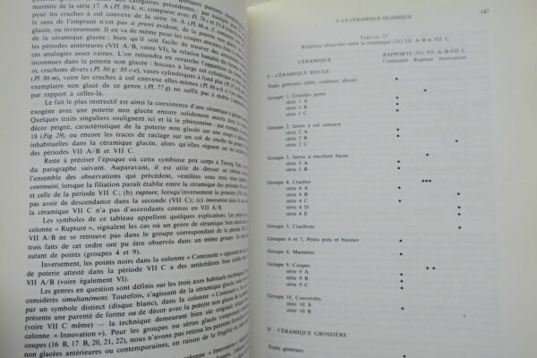Fouilles de Tureng Tepe. Vol. 1. Les Périodes sassanides et islamiques – Image 7